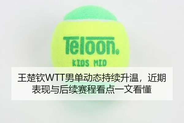 王楚钦WTT男单动态持续升温，近期表现与后续赛程看点一文看懂